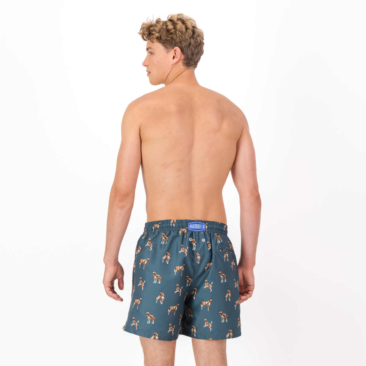 Mid Length Swim Short | Wild Dogs Teal